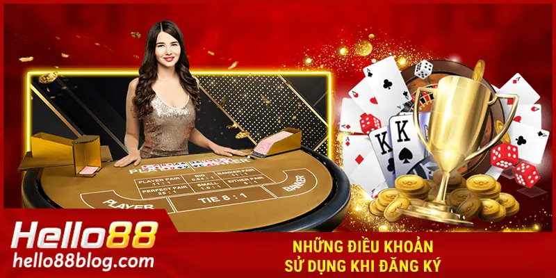 Những điều khoản sử dụng khi đăng ký