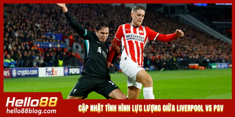 Cập nhật tình hình lực lượng giữa Liverpool vs PSV Cập nhật tình hình lực lượng giữa Liverpool vs PSV