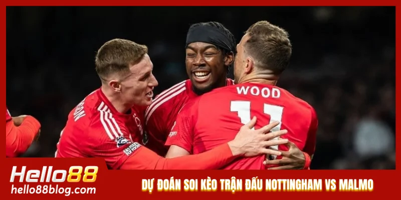 Dự đoán soi kèo trận đấu Nottingham vs Malmo Dự đoán soi kèo trận đấu Nottingham vs Malmo
