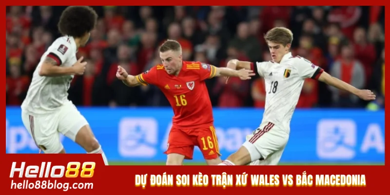 Dự đoán soi kèo trận Xứ Wales vs Bắc Macedonia Dự đoán soi kèo trận Xứ Wales vs Bắc Macedonia