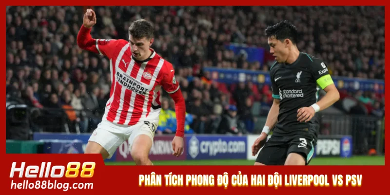 Phân tích phong độ của hai đội Liverpool vs PSV Phân tích phong độ của hai đội Liverpool vs PSV