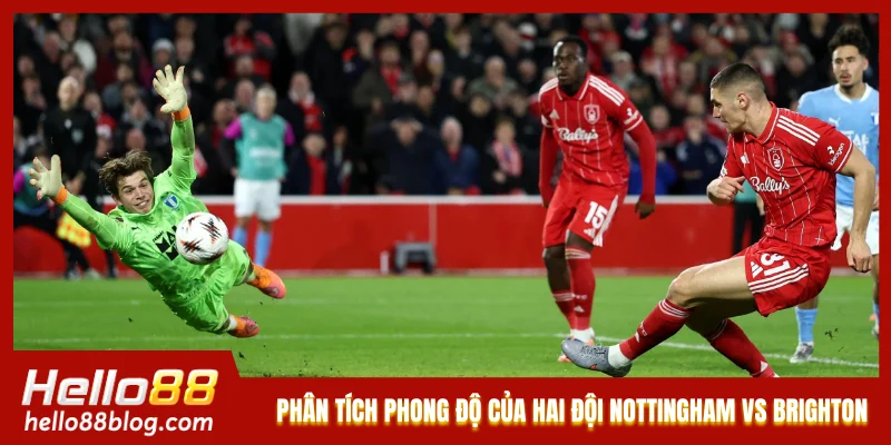 Phân tích phong độ của hai đội Nottingham vs Brighton