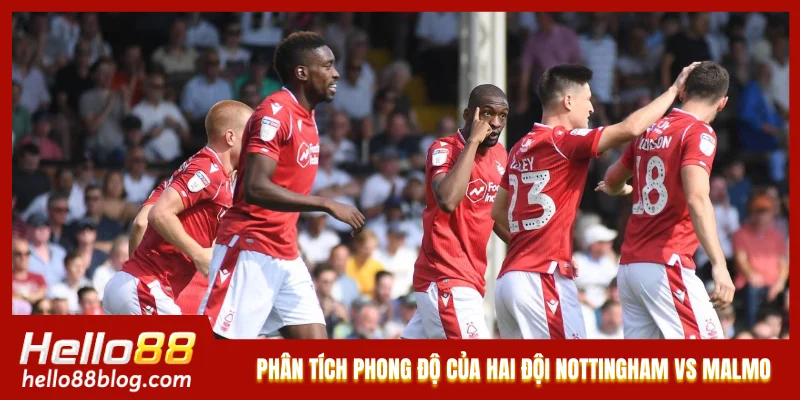Phân tích phong độ của hai đội Nottingham vs Malmo Phân tích phong độ của hai đội Nottingham vs Malmo
