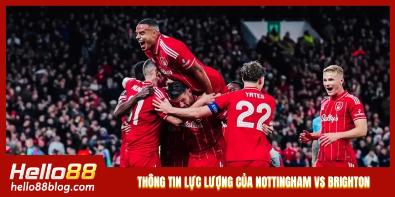 Thông tin lực lượng của Nottingham vs Brighton