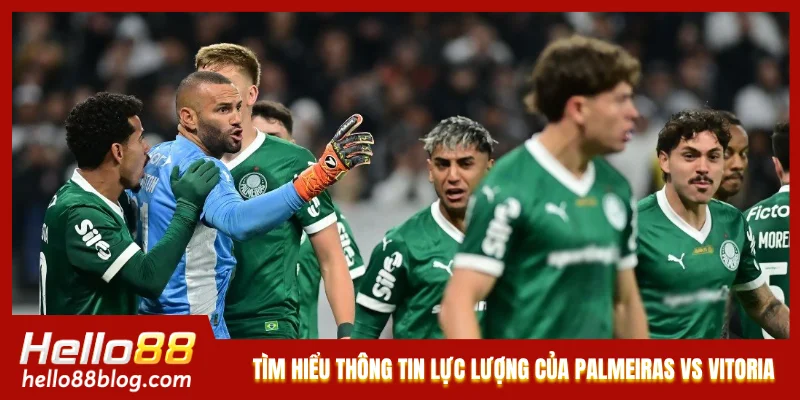 Tìm hiểu thông tin lực lượng của Palmeiras vs Vitoria