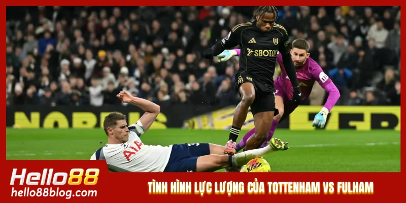 Tình hình lực lượng của Tottenham vs Fulham
