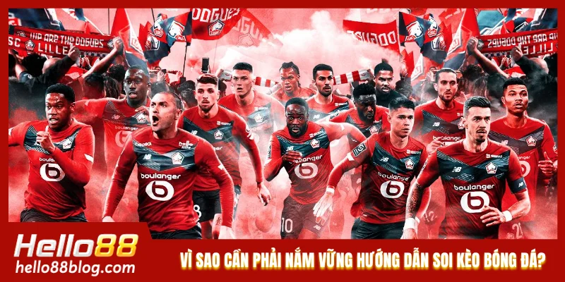 Vì sao cần phải nắm vững hướng dẫn soi kèo bóng đá?